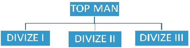 Divizni.jpg